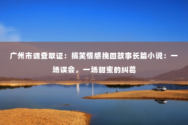 广州市调查取证：搞笑情感挽回故事长篇小说：一场误会，一场甜蜜的纠葛
