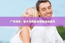 广州侦探：妻子为修复婚姻而追回国内