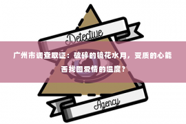 广州市调查取证：破碎的镜花水月，变质的心能否找回爱情的温度？