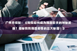 广州市侦探：《狗狗如何成为挽回前夫的神秘武器？揭秘狗狗挽回爱情的五大秘籍！》