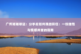 广州婚姻取证：分手后如何挽回前任：一份理性与情感并重的指南