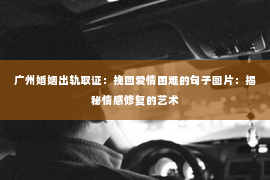 广州婚姻出轨取证：挽回爱情困难的句子图片：揭秘情感修复的艺术