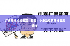 广州缘探婚姻调查：标题：小象治愈情感挽回靠谱吗？