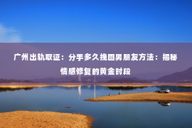 广州出轨取证：分手多久挽回男朋友方法：揭秘情感修复的黄金时段