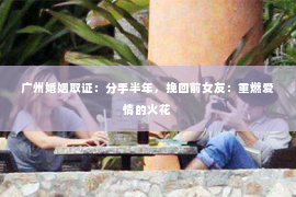 广州婚姻取证：分手半年，挽回前女友：重燃爱情的火花