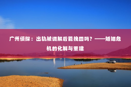 广州侦探：出轨被调解后能挽回吗？——婚姻危机的化解与重建