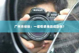 广州市侦探：一诺情感挽回成功吗？