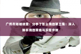 广州市婚姻调查：分手了怎么挽回第三集：深入解析挽回策略与实施步骤