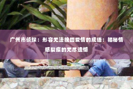 广州市侦探：形容无法挽回爱情的成语：揭秘情感裂痕的无尽遗憾
