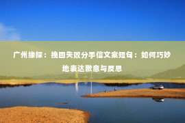 广州缘探：挽回失败分手信文案短句：如何巧妙地表达歉意与反思