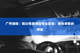 广州缘探：铜川情感挽回专业咨询：重拾爱情的桥梁