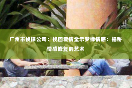 广州市侦探公司：挽回爱情全示梦缘情感：揭秘情感修复的艺术
