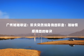广州婚姻取证：前夫突然现身挽回前妻：揭秘情感挽回的秘诀