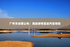 广州市调查公司：挽回爱情套路内容简短