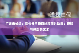 广州市侦探：假性分手挽回过程图片动漫：理解与行动的艺术