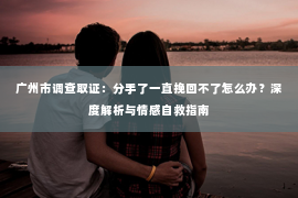 广州市调查取证：分手了一直挽回不了怎么办？深度解析与情感自救指南