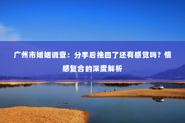 广州市婚姻调查：分手后挽回了还有感觉吗？情感复合的深度解析