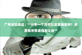 广州出轨取证：**分手一个月可以见面挽回吗？深度解析情感挽回之路**