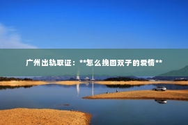 广州出轨取证：**怎么挽回双子的爱情**