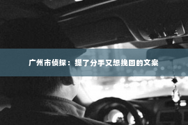 广州市侦探：提了分手又想挽回的文案