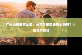 广州缘探调查公司：分手后挽回是真心的吗？小说揭示真相