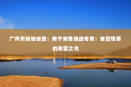 广州市婚姻调查：南宁爱情挽回专家：重塑情感的希望之光