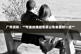 广州侦探：**可靠的挽回情感公司哪家好一点**