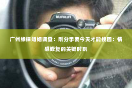 广州缘探婚姻调查：刚分手要今天才能挽回：情感修复的关键时刻