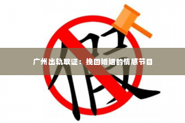 广州出轨取证：挽回婚姻的情感节目