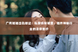 广州婚姻出轨取证：私家侦探被查：揭开神秘行业的法律面纱