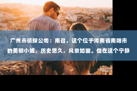 广州市侦探公司：南召，这个位于河南省南阳市的美丽小城，历史悠久，风景如画。但在这个宁静的小城，你是否曾想过，是否真的存在私家侦探公司呢？今天，就让我带你一探究竟。