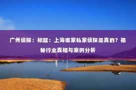 广州侦探：标题：上海哪家私家侦探是真的？揭秘行业真相与案例分析