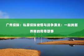 广州侦探：私家侦探爱情与战争演员：一段跨越界限的传奇故事