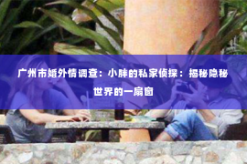 广州市婚外情调查：小胖的私家侦探：揭秘隐秘世界的一扇窗
