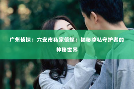 广州侦探：六安市私家侦探：揭秘隐私守护者的神秘世界