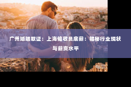广州婚姻取证：上海催收员底薪：揭秘行业现状与薪资水平