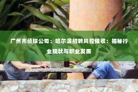 广州市侦探公司：哈尔滨招聘风控催收：揭秘行业现状与职业发展