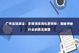 广州出轨取证：安徽省阜阳私家侦探：揭秘神秘行业的真实面貌