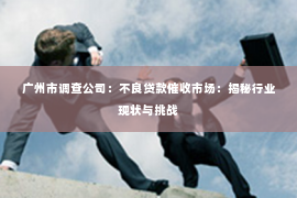 广州市调查公司：不良贷款催收市场：揭秘行业现状与挑战