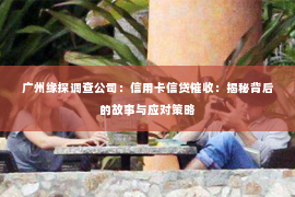 广州缘探调查公司：信用卡信贷催收：揭秘背后的故事与应对策略