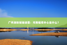 广州缘探婚姻调查：河南催收中心是什么？
