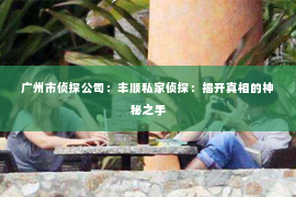 广州市侦探公司：丰顺私家侦探：揭开真相的神秘之手