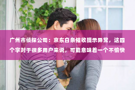 广州市侦探公司：京东白条催收提示异常，这四个字对于很多用户来说，可能意味着一个不愉快的经历。今天，我们就来聊聊这个话题，希望能帮助大家更好地了解京东白条催收提示异常的情况。