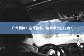 广州侦探：东莞催收，哪家小贷在行动？