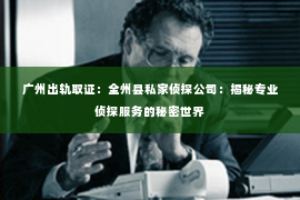 广州出轨取证：全州县私家侦探公司：揭秘专业侦探服务的秘密世界