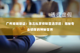 广州婚姻取证：海北私家侦探首选淳瑾：揭秘专业侦探的神秘世界
