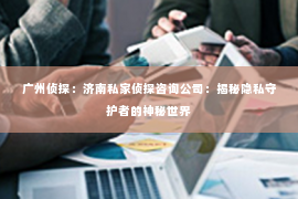 广州侦探：济南私家侦探咨询公司：揭秘隐私守护者的神秘世界