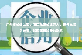 广州市侦探公司：海口私家侦探寻人：揭开生活的迷雾，找回那份珍贵的联系