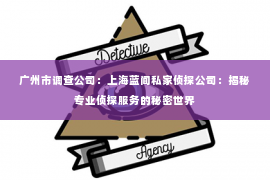 广州市调查公司：上海蓝间私家侦探公司：揭秘专业侦探服务的秘密世界