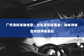 广州缘探婚姻调查：女私家侦探美剧：揭秘神秘世界的神秘身影